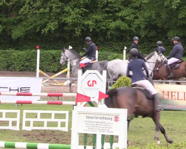 Reitturnier Jülich 2017