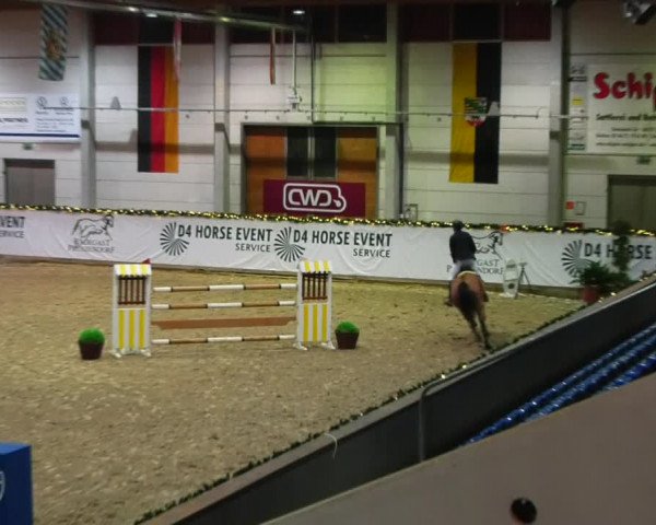 Christmas Jumping Trophy Prussendorf 2021