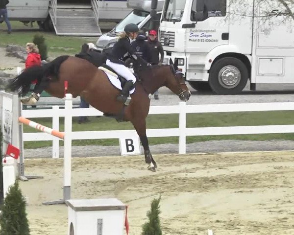 Reitturnier Leutkirch-Diepoldshofen 2017