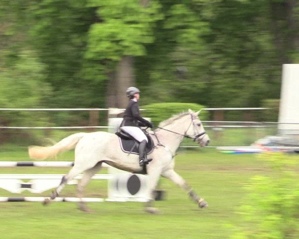 Reitturnier Jülich 2017