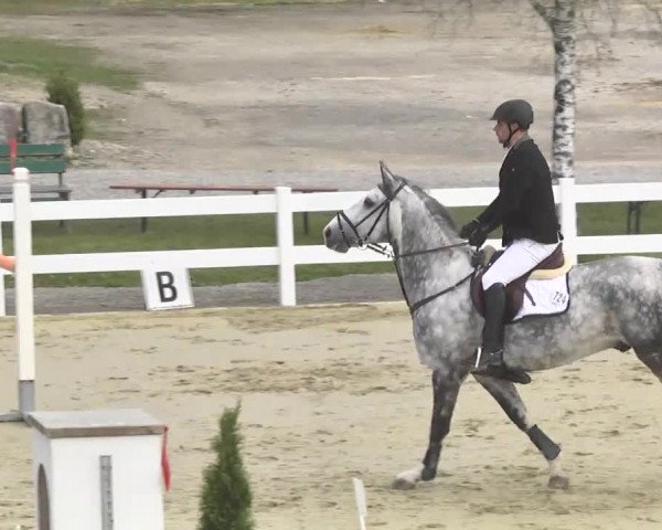Reitturnier Leutkirch-Diepoldshofen 2017