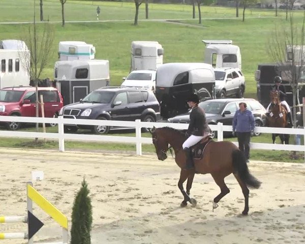 Reitturnier Leutkirch-Diepoldshofen 2017