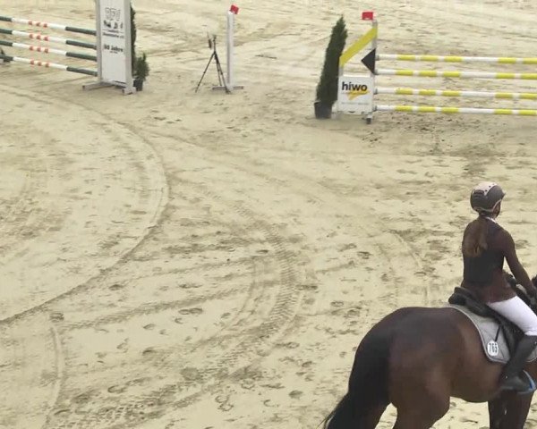 Reitturnier Leutkirch-Diepoldshofen 2017
