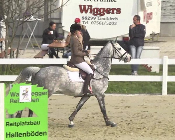 Reitturnier Leutkirch-Diepoldshofen 2017