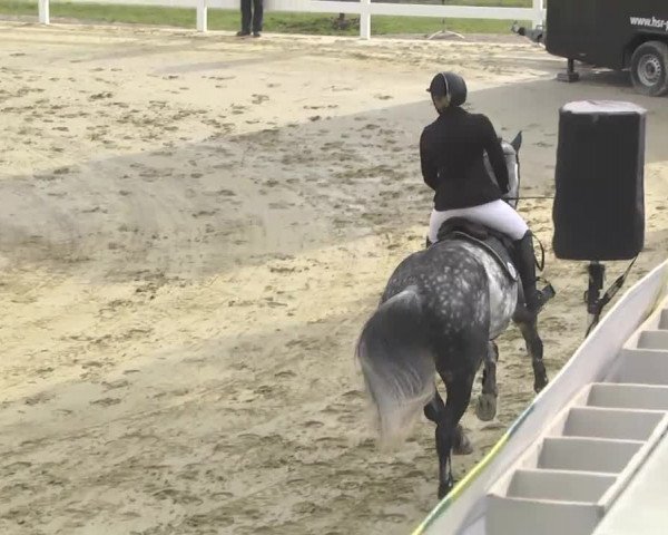 Reitturnier Leutkirch-Diepoldshofen 2017