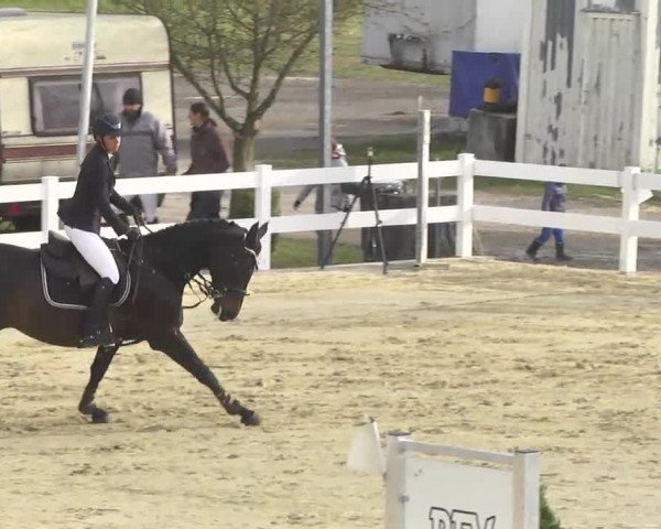 Reitturnier Leutkirch-Diepoldshofen 2017