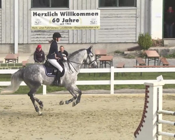 Reitturnier Leutkirch-Diepoldshofen 2017