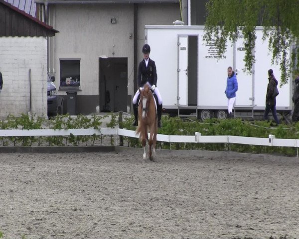 Reitturnier Olfen-Vinnum 2017