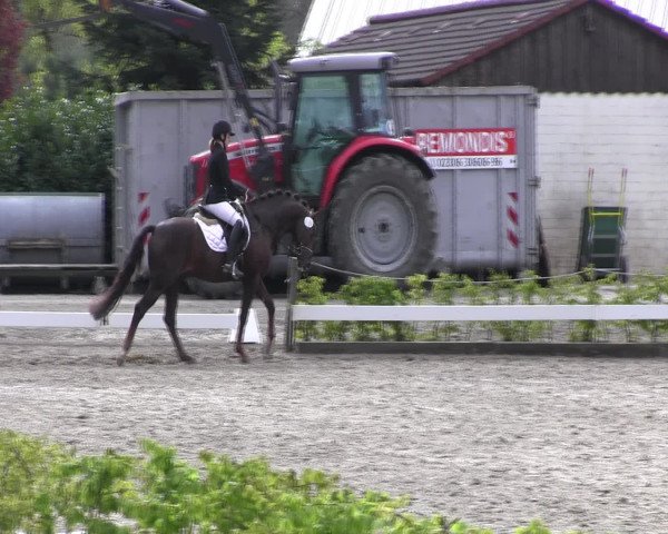 Reitturnier Olfen-Vinnum 2017