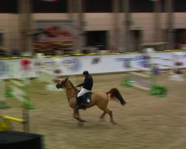 Christmas Jumping Trophy Prussendorf 2021