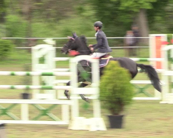 Reitturnier Jülich 2017