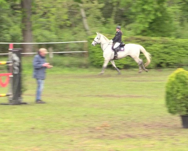 Reitturnier Jülich 2017