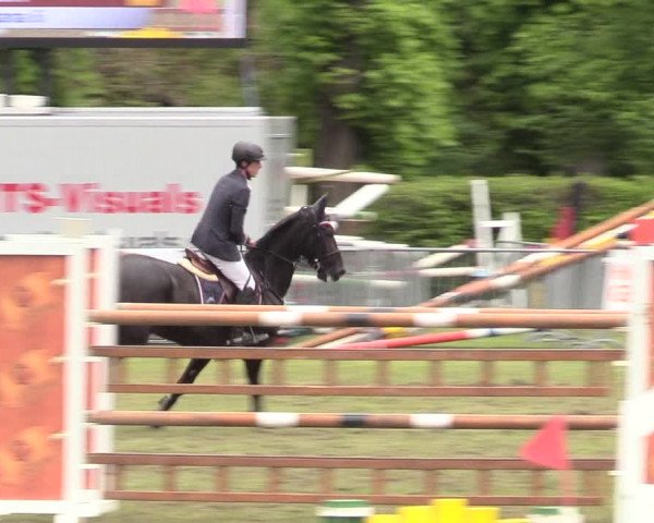 Reitturnier Jülich 2017