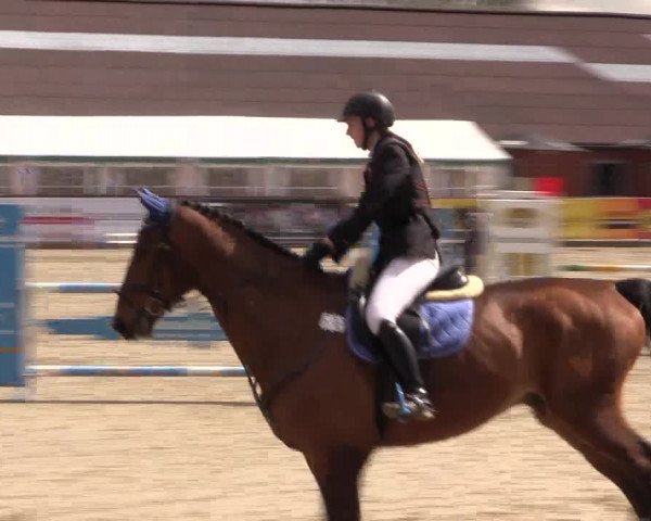 Reitturnier Havixbeck 2017