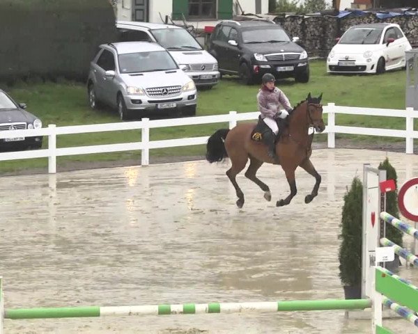 Reitturnier Leutkirch-Diepoldshofen 2017