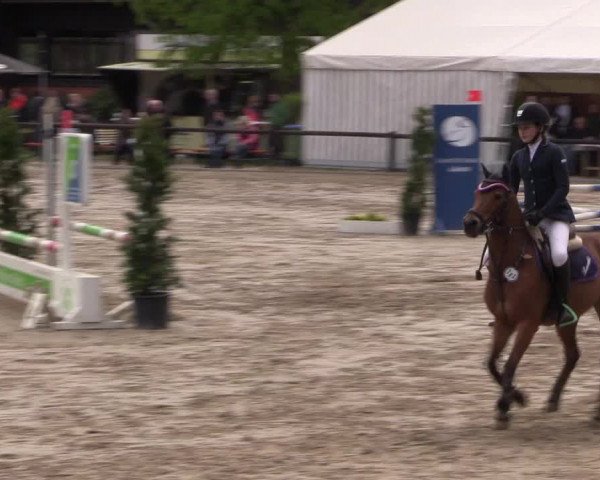 Reitturnier Havixbeck 2017