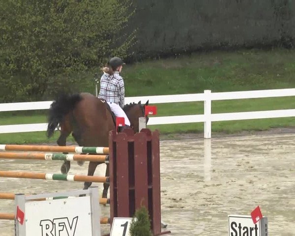 Reitturnier Leutkirch-Diepoldshofen 2017