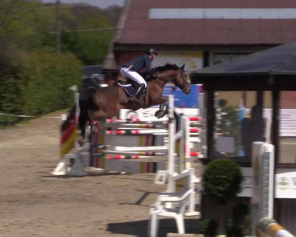 Reitturnier Havixbeck 2017