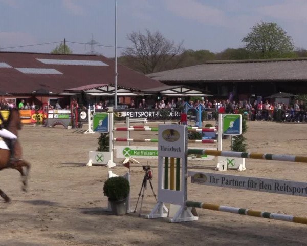Reitturnier Havixbeck 2017