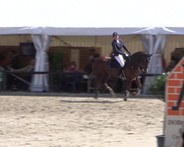 Reitturnier Havixbeck 2017