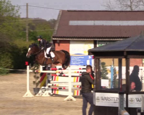 Reitturnier Havixbeck 2017