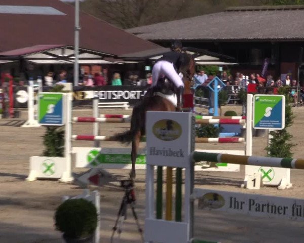 Reitturnier Havixbeck 2017