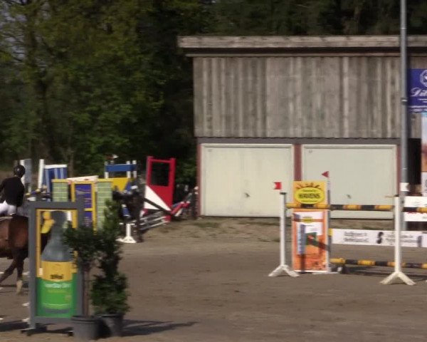 Reitturnier Havixbeck 2017
