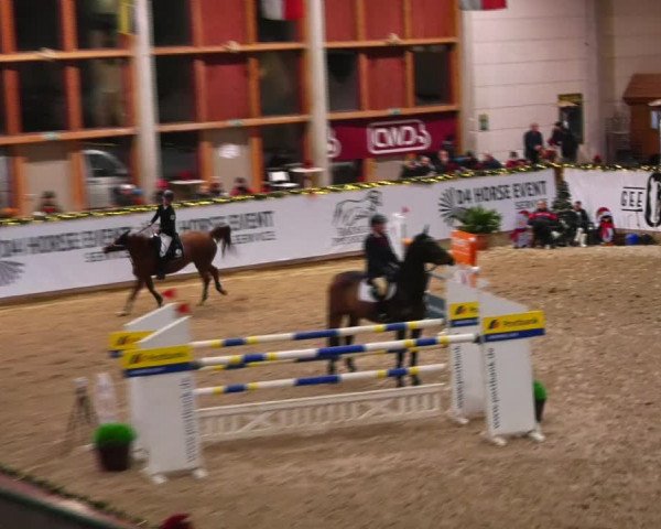 Christmas Jumping Trophy Prussendorf 2021
