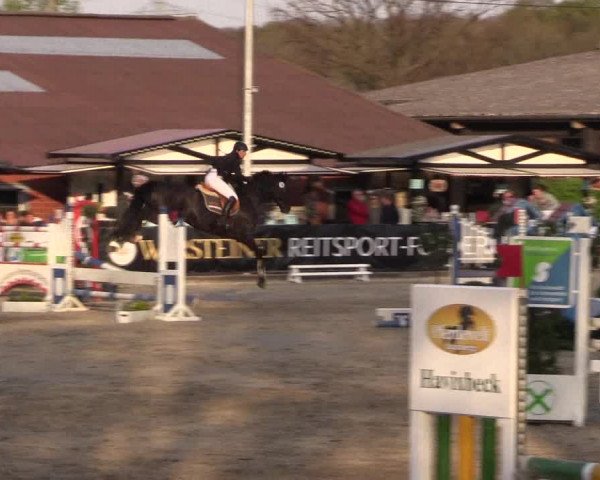 Reitturnier Havixbeck 2017