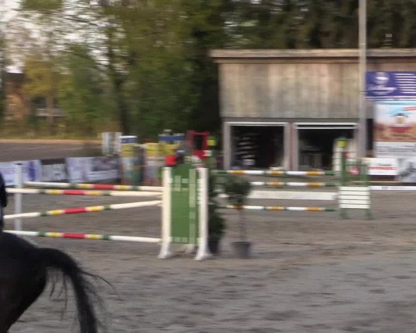 Reitturnier Havixbeck 2017