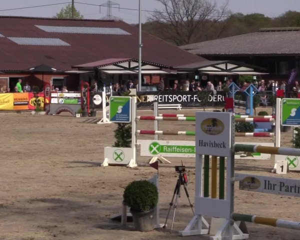 Reitturnier Havixbeck 2017