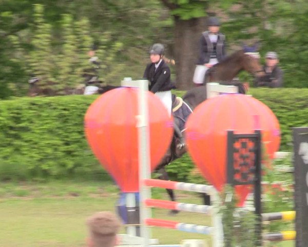 Reitturnier Jülich 2017