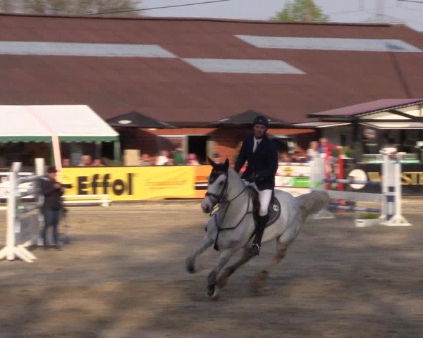 Reitturnier Havixbeck 2017