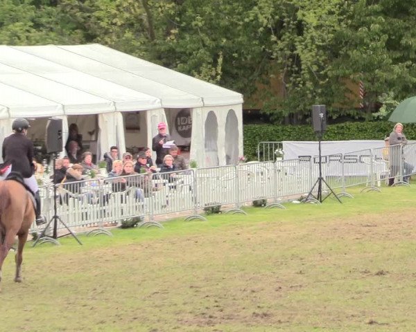 Reitturnier Jülich 2017