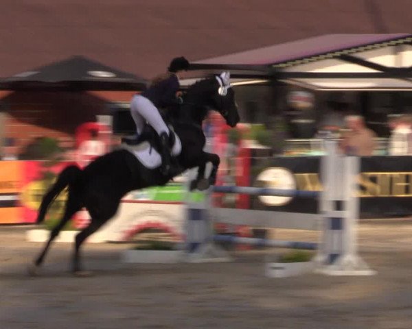 Reitturnier Havixbeck 2017