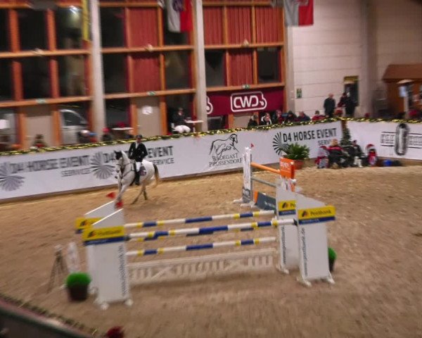 Christmas Jumping Trophy Prussendorf 2021