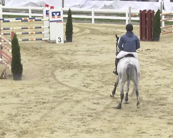 Reitturnier Leutkirch-Diepoldshofen 2017