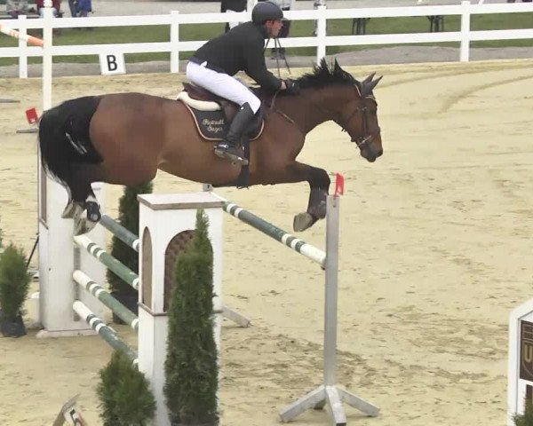 Reitturnier Leutkirch-Diepoldshofen 2017