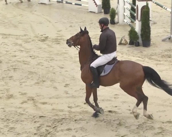 Reitturnier Leutkirch-Diepoldshofen 2017