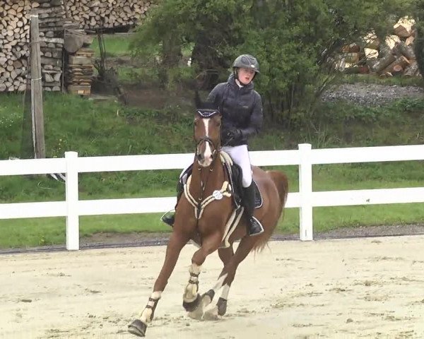 Reitturnier Leutkirch-Diepoldshofen 2017