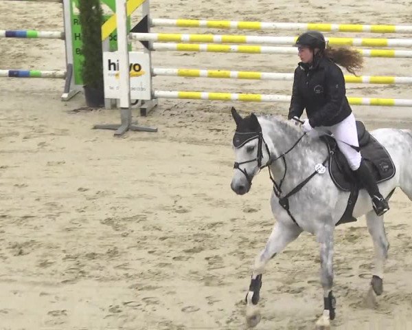 Reitturnier Leutkirch-Diepoldshofen 2017