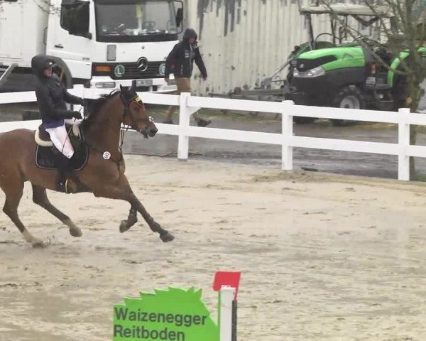 Reitturnier Leutkirch-Diepoldshofen 2017