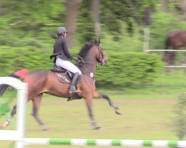 Reitturnier Jülich 2017
