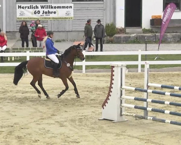 Reitturnier Leutkirch-Diepoldshofen 2017