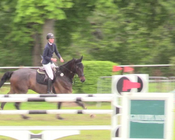 Reitturnier Jülich 2017