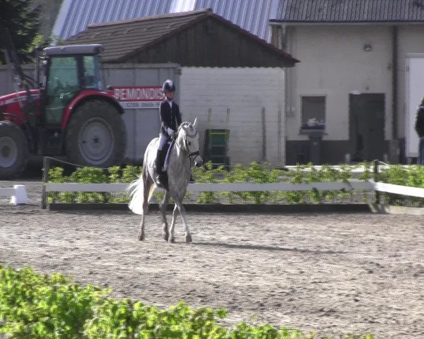 Reitturnier Olfen-Vinnum 2017