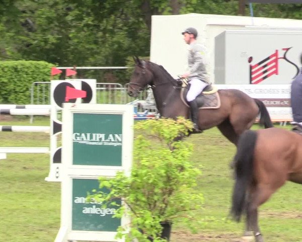 Reitturnier Jülich 2017
