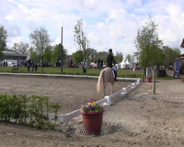 Reitturnier Olfen-Vinnum 2017