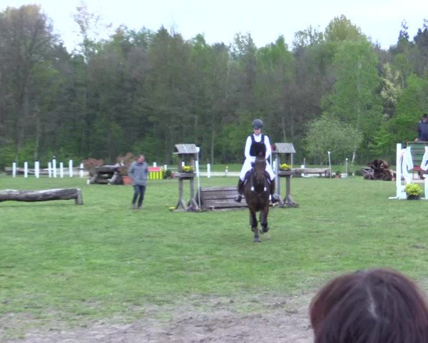 Reitturnier Olfen-Vinnum 2017