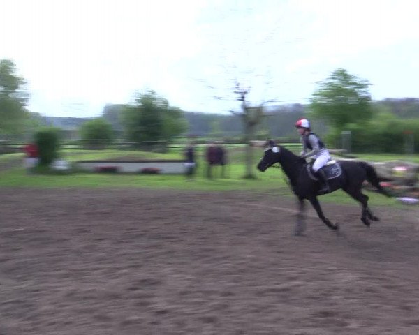 Reitturnier Olfen-Vinnum 2017